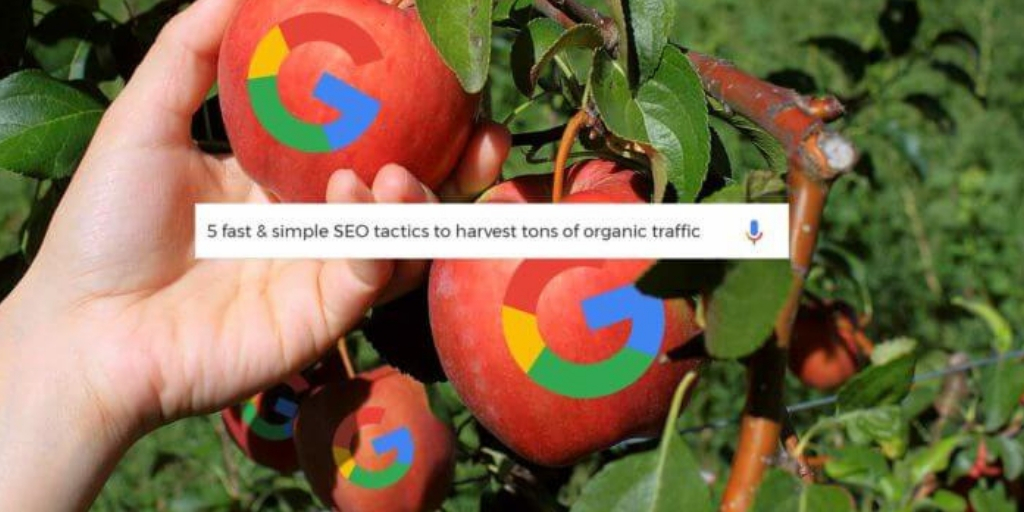 Low Hanging fruit For SEO